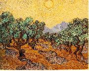 Vincent Van Gogh Olive Trees with Yellow Sky and Sun France oil painting artist